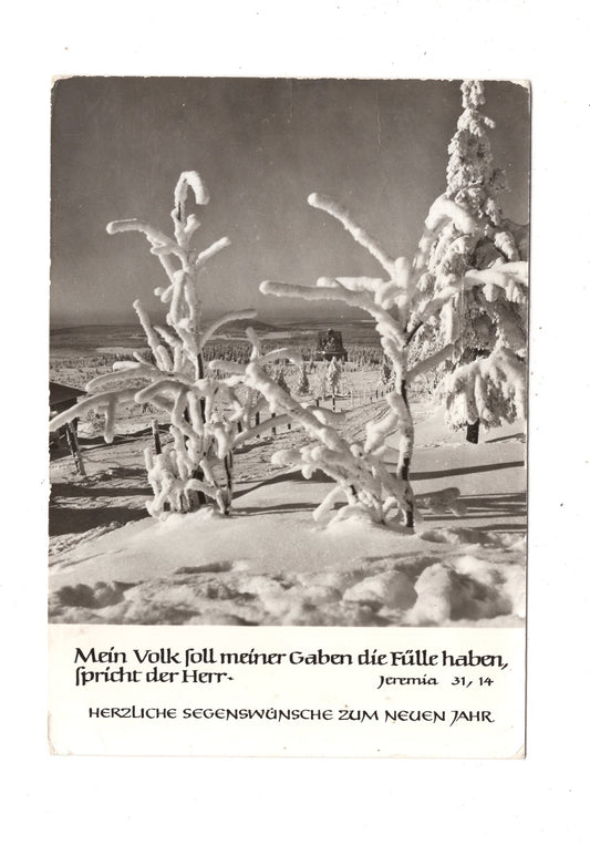 Ansichtskarte Feiertage / Frohes neues Jahr / K1-70