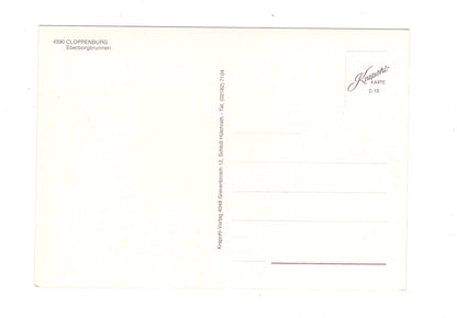 Ansichtskarte Cloppenburg / Eberborgbrunnen / I1-63
