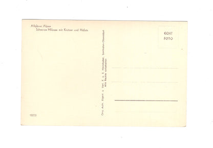 Ansichtskarte Schwarze Milzsee / Allgäuer Alpen