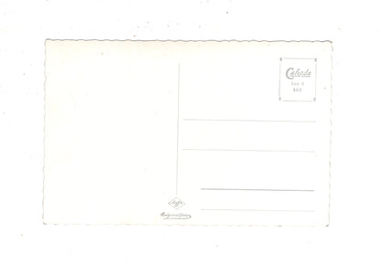 Ansichtskarte Am Vierwaldstättersee / Schweiz