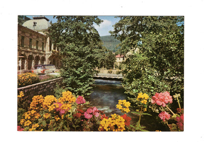 Ansichtskarte Wildbad im Schwarzwald / An der Enz / G1-68