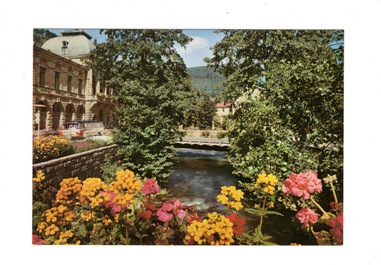 Ansichtskarte Wildbad im Schwarzwald / An der Enz / G1-68