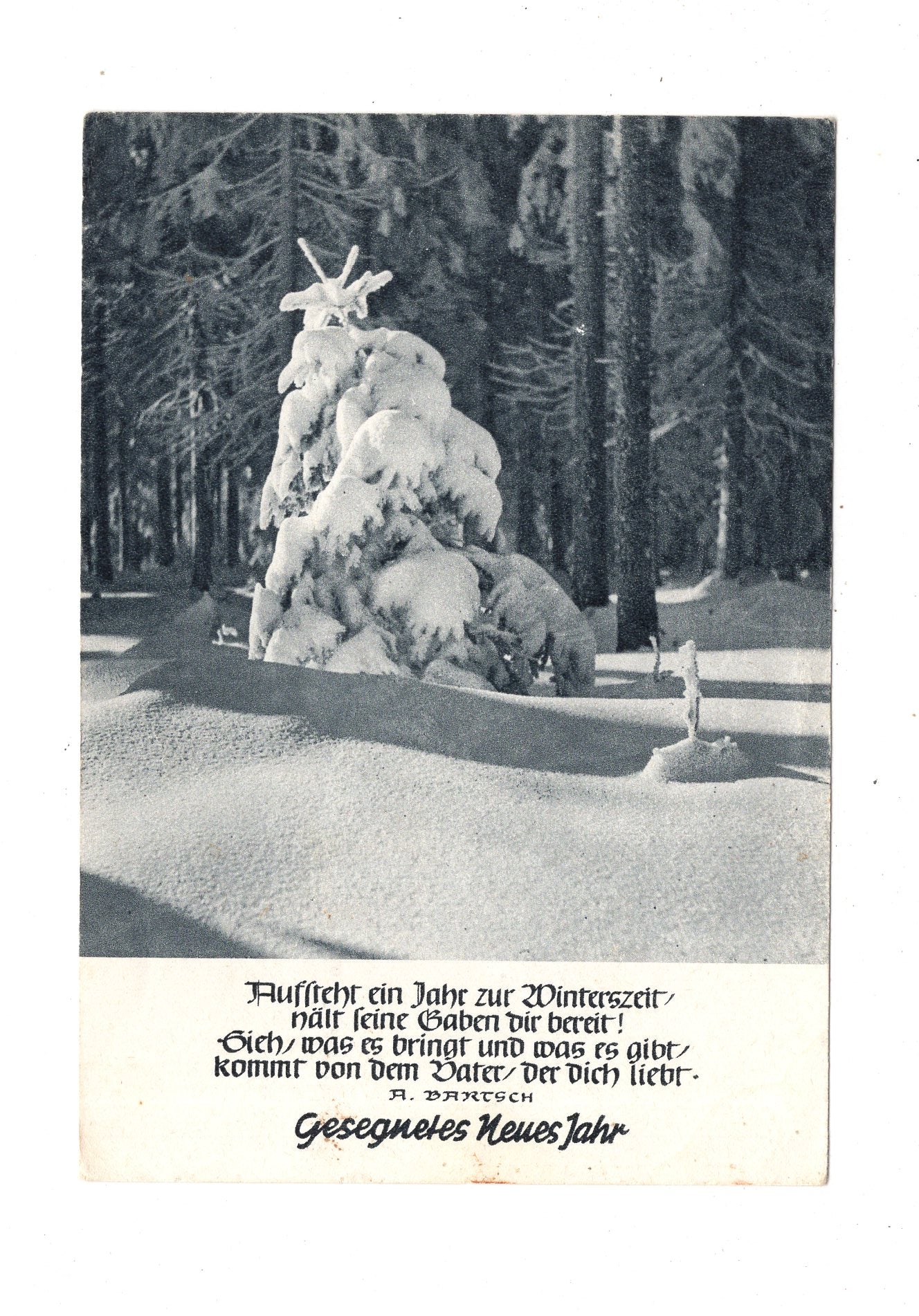 Ansichtskarte Feiertage / Frohes neues Jahr / K1-70