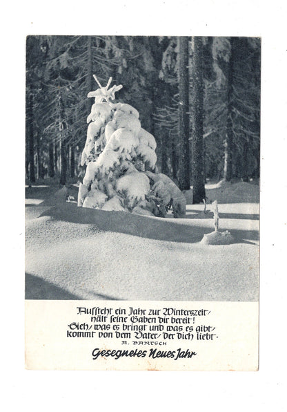 Ansichtskarte Feiertage / Frohes neues Jahr / K1-70