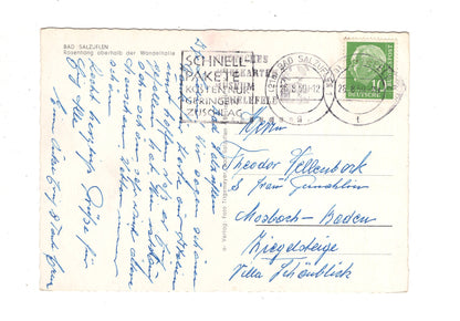 Ansichtskarte Bad Salzuflen / Rosenhang oberhalb der Wandelhalle / J1-59