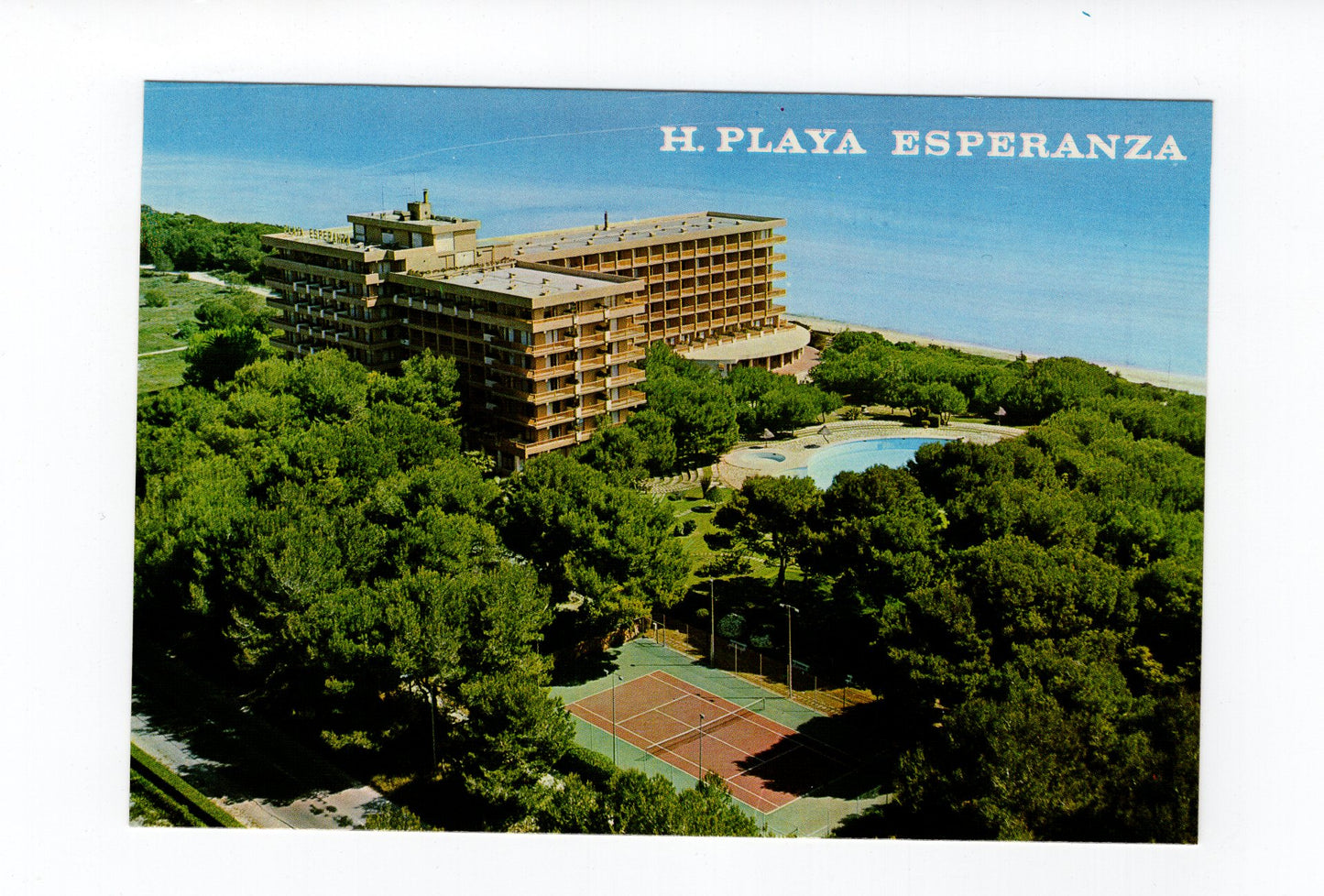 Ansichtskarte Mallorca / Bahia de Alcudia / Hotel Playa Esperanza / Spanien