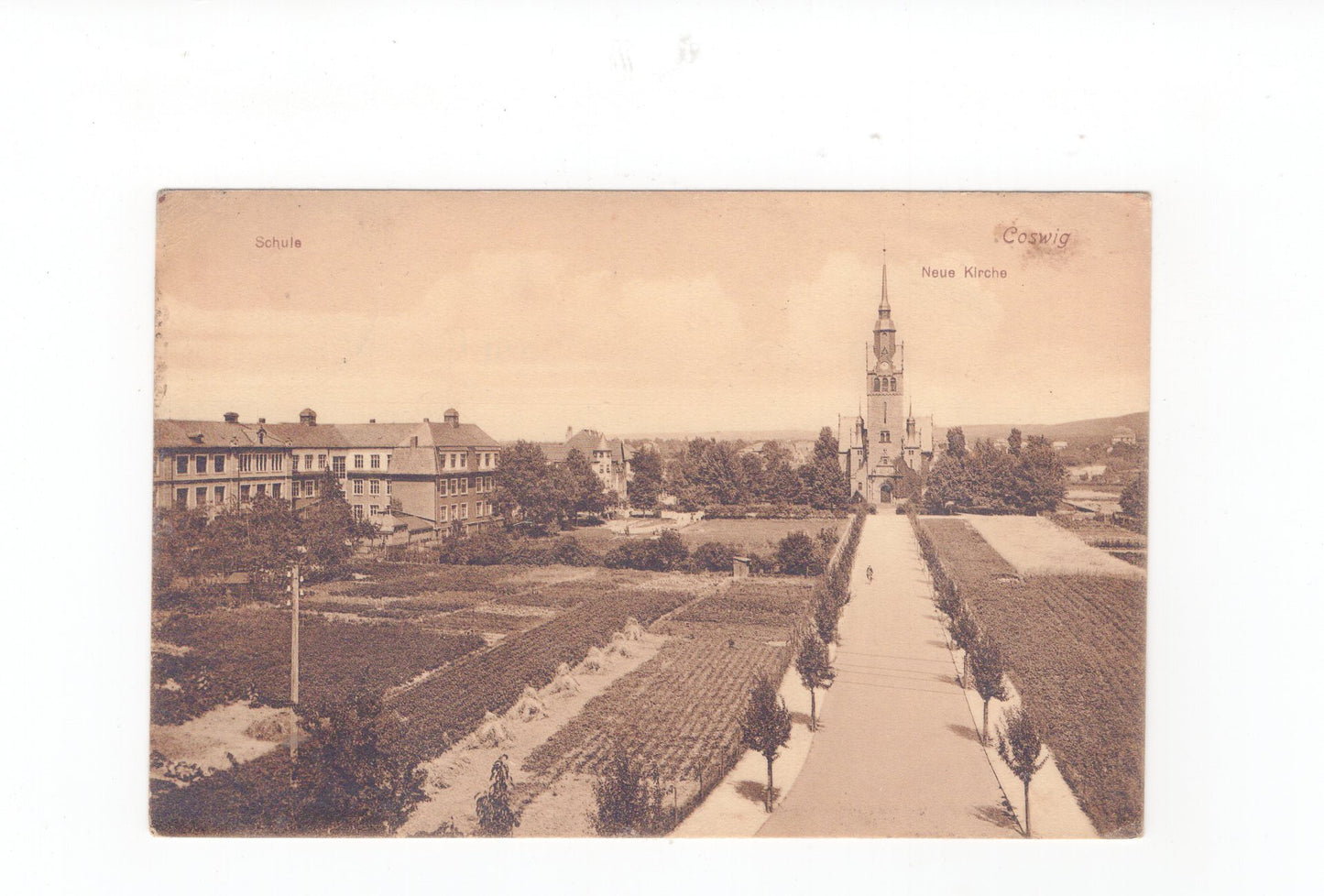 Ansichtskarte Coswig / Schule / Neue Kirche +++