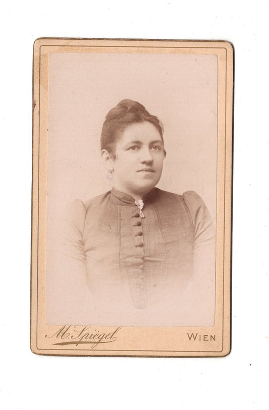 Fotografie Damenportrait - Wien 1890er / CDV C1-15