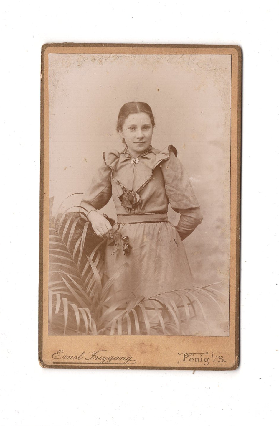 Fotografie Feines junges Mädchen - Penig 1890er / CDV N1-01