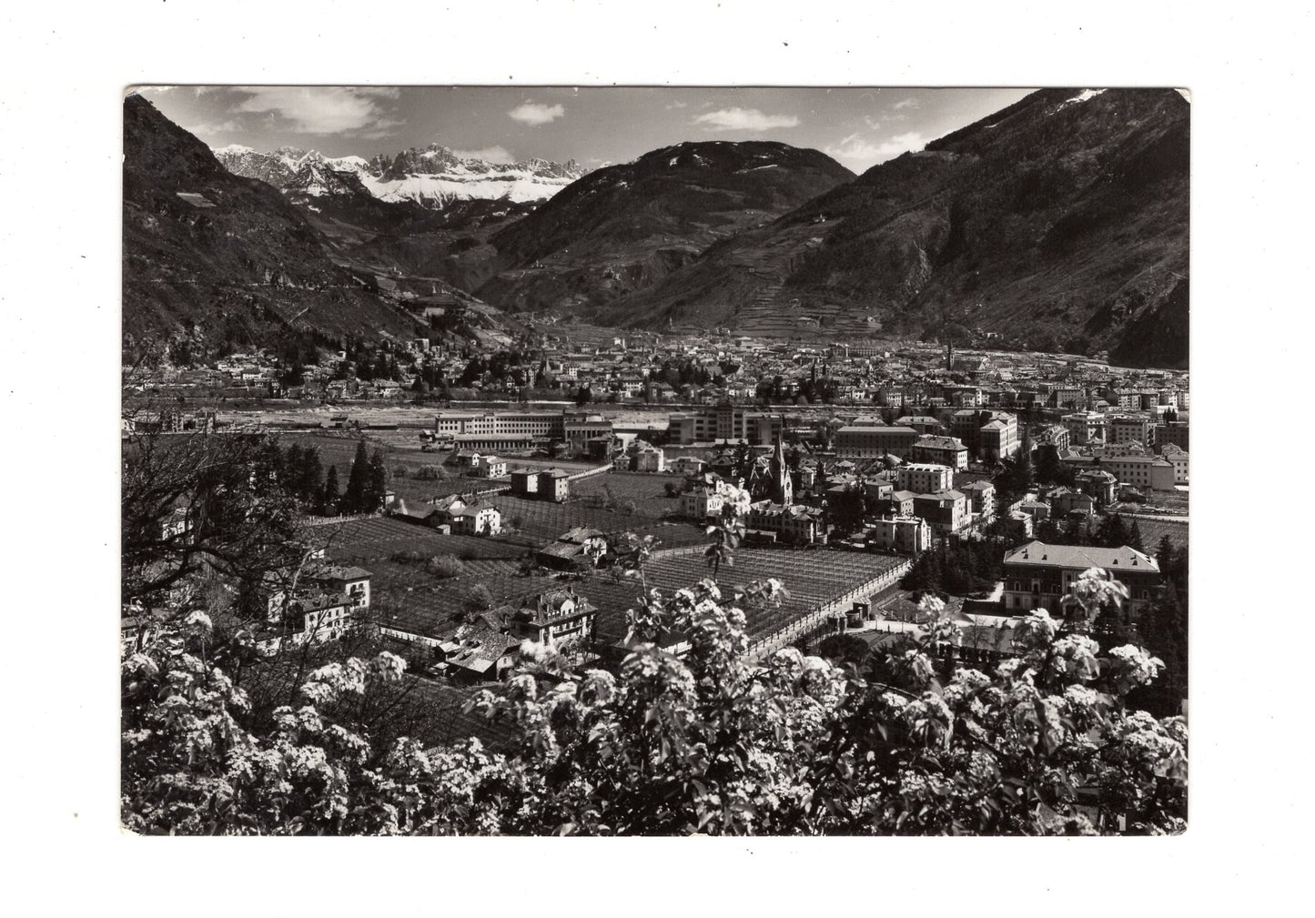 Ansichtskarte Gries-Bozen gegen Rosengarten / Italien / N1-58