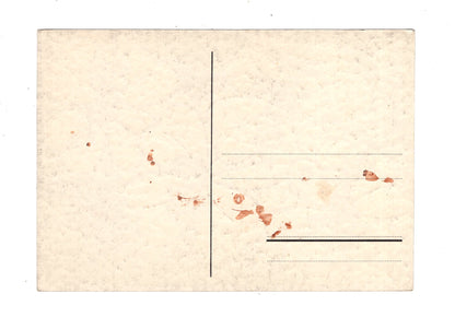 Ansichtskarte Feiertage / Frohes neues Jahr / K1-70