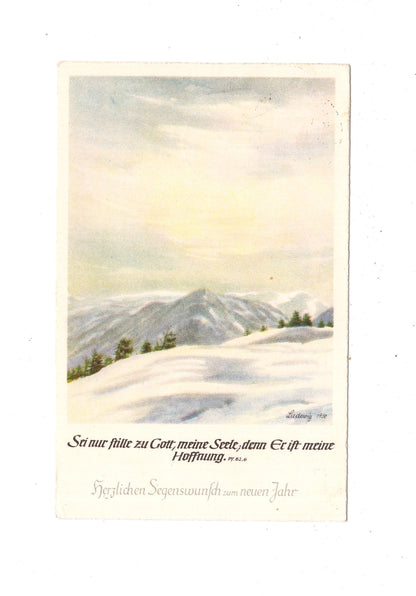 Ansichtskarte Feiertage / Frohes neues Jahr / K1-70