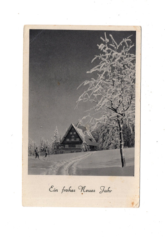 Ansichtskarte Feiertage / Frohes neues Jahr / K1-70