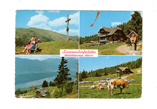 Ansichtskarte Lammersdorfer Hütte / Millstätter Alpe / Kärnten / Österreich