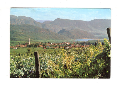 Ansichtskarte Kaltern bei Bozen / Italien / N1-58