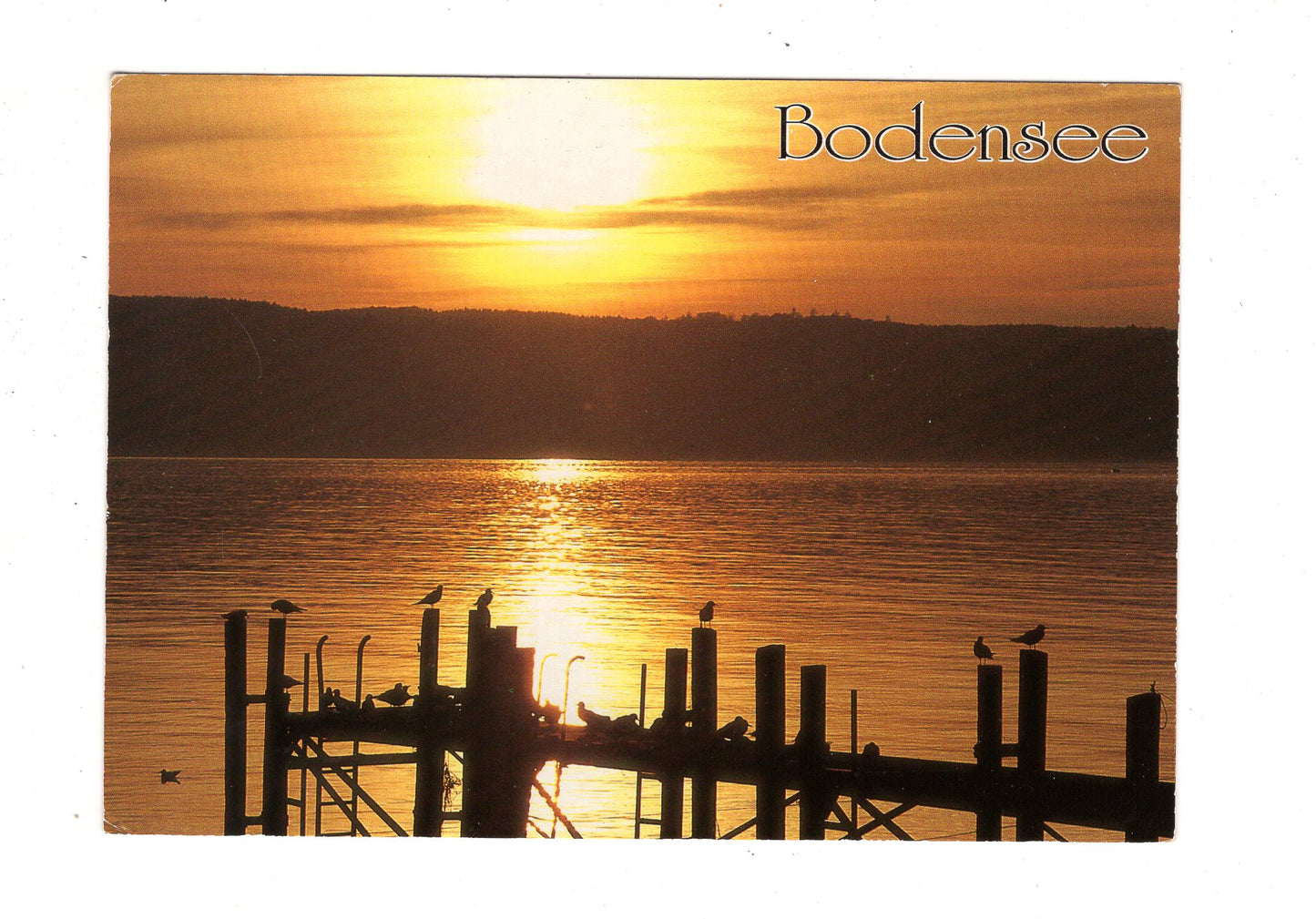 Ansichtskarte Bodensee / K1-52