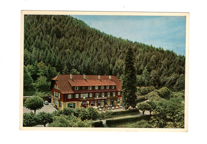 Ansichtskarte Baden-Baden / Waldhotel Fischkultur