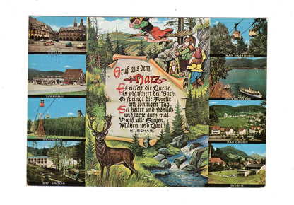 Ansichtskarte Harz / Torfhaus / Braunlage +++