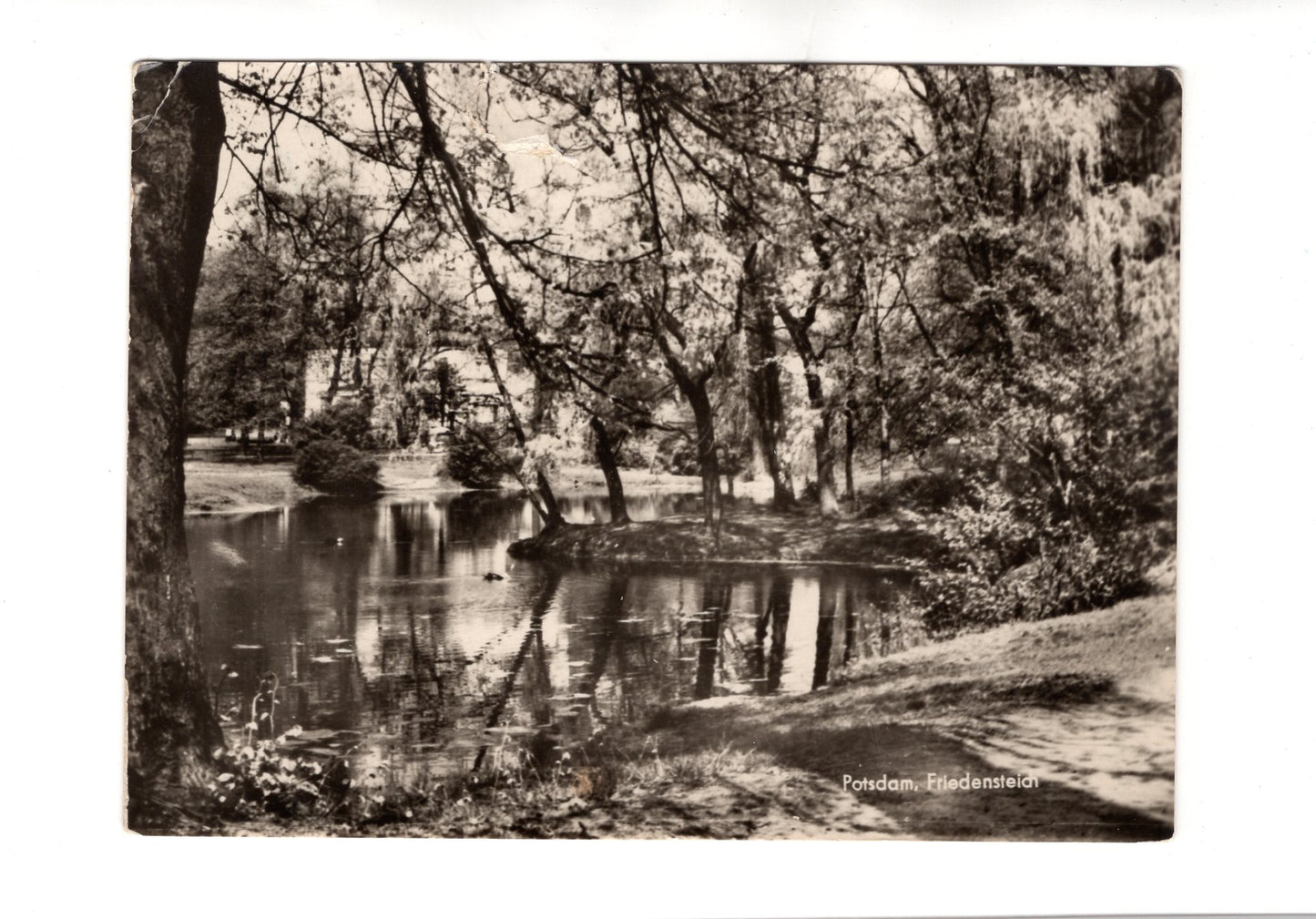 Ansichtskarte Potsdam / Friedensteich