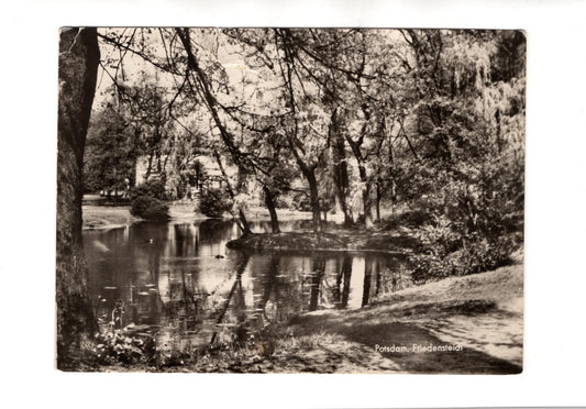 Ansichtskarte Potsdam / Friedensteich