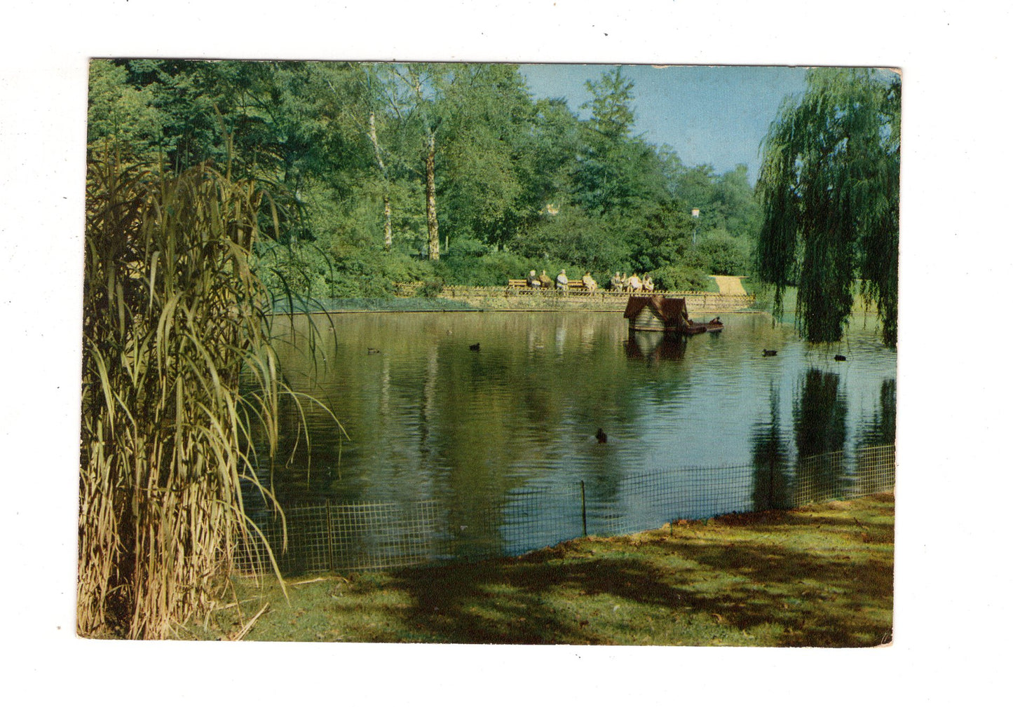 Ansichtskarte Bad Salzuflen / Am Schwanenteich / J1-59