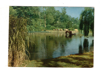 Ansichtskarte Bad Salzuflen / Am Schwanenteich / J1-59