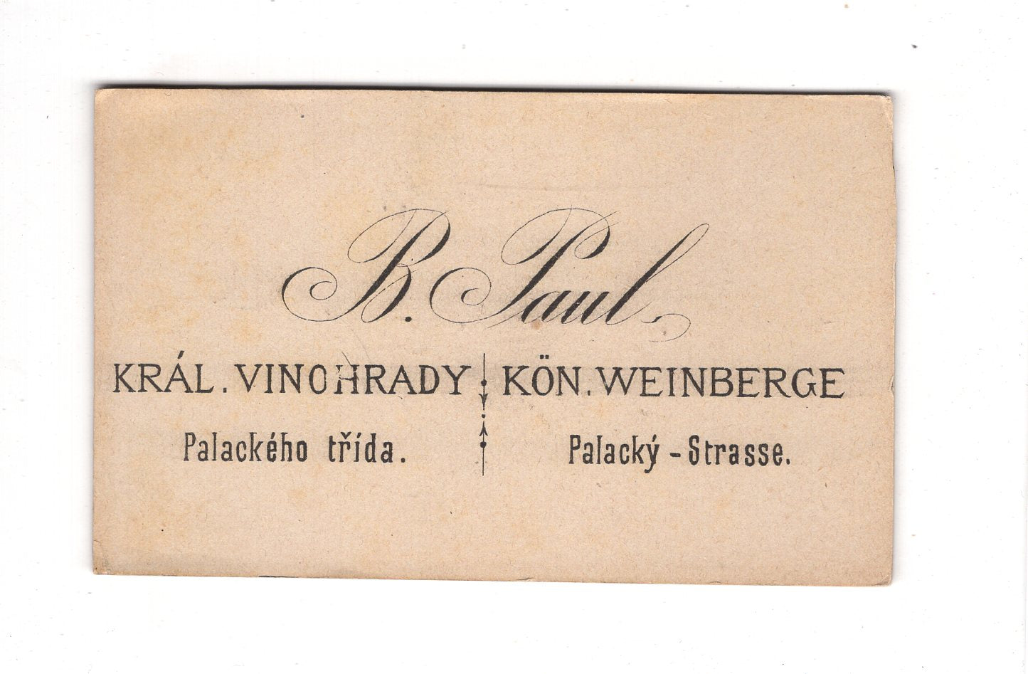 Fotografie Feiner Junge - Kral Vinohrady 1880er / CDV C1-33