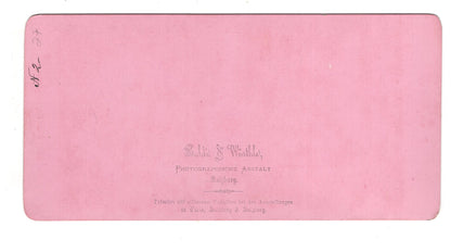 Fotografie / Stereofotografie Salzburg vom Kapuzinerberg - um 1880 / CAB V-23