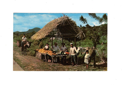 Ansichtskarte Native fruitstand / Panama