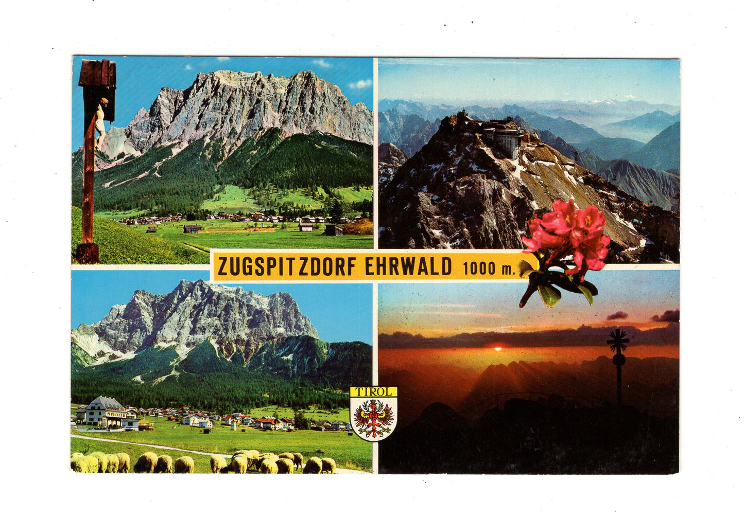Ansichtskarte Zugspitzdorf Ehrwald / Tirol / Österreich