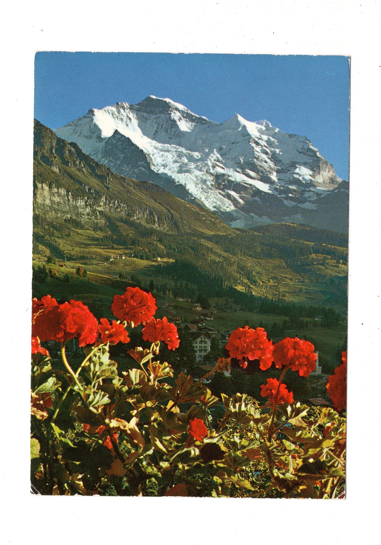 Ansichtskarte Jungfrau / Schweiz