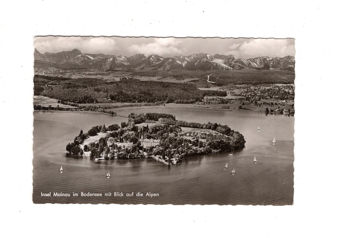Ansichtskarte Insel Mainau im Bodensee / K1-52