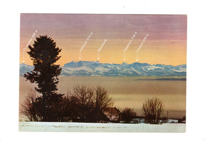 Ansichtskarte Höchenschwand im Hochschwarzwald / Blick auf Schweizer Alpen / G1-69