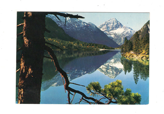 Ansichtskarte Plansee / Tirol / Österreich