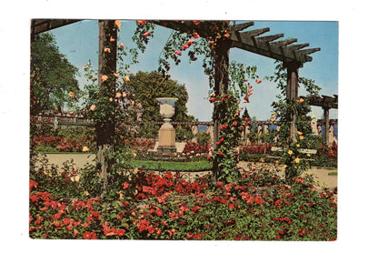 Ansichtskarte Insel Mainau im Bodensee / Rosengarten / K1-52