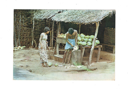 Ansichtskarte Sale Point of Sweet Young Coconut / Sri Lanka