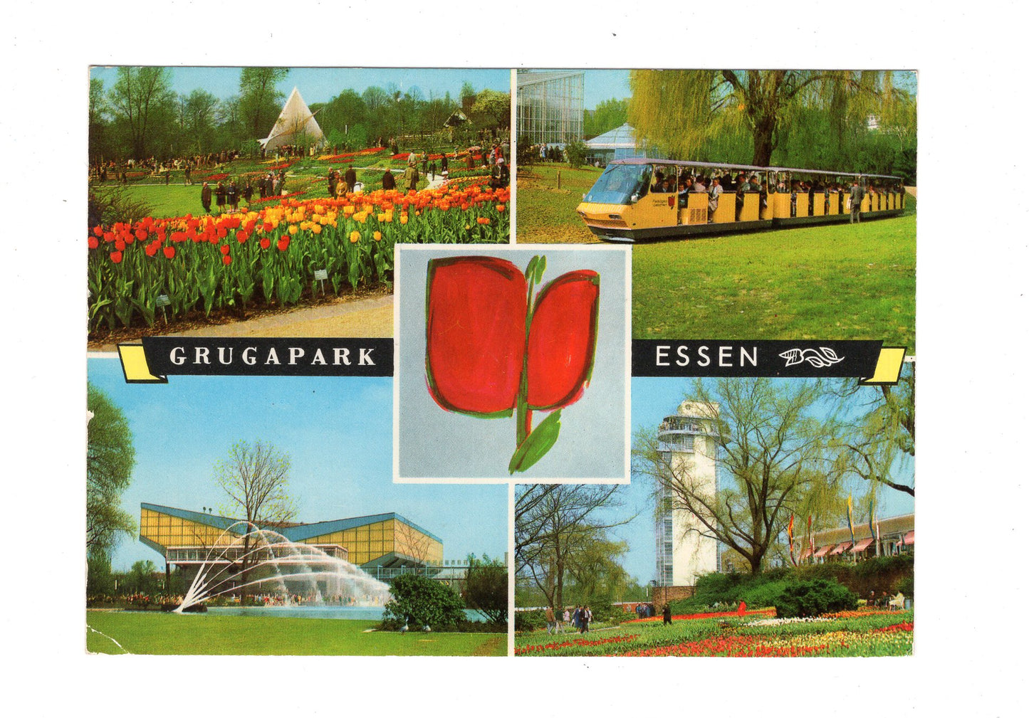 Ansichtskarte Essen / Grugapark / I1-64