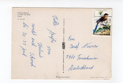 Ansichtskarte Lloret de Mar / Costa Brava / Spanien