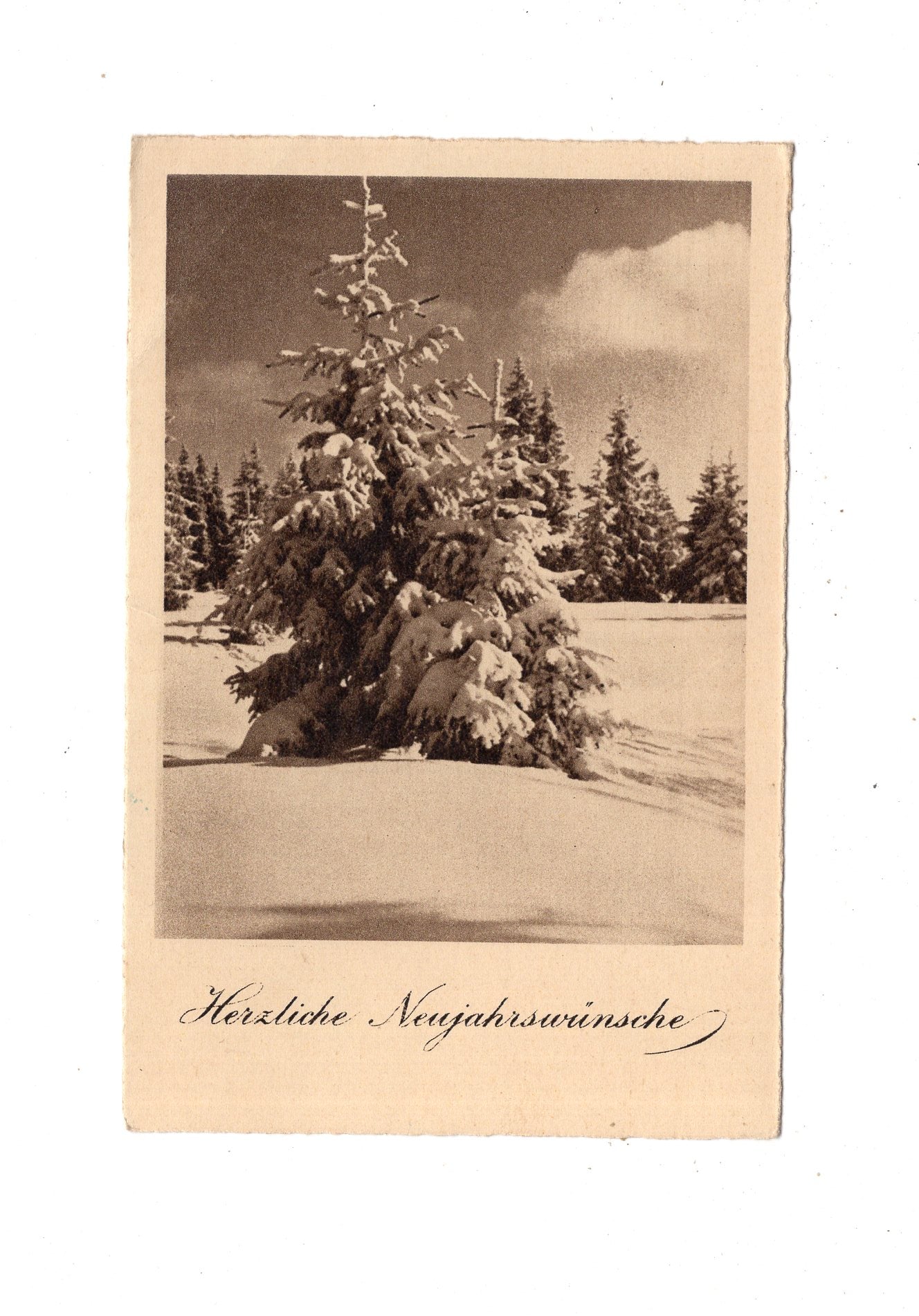 Ansichtskarte Feiertage / Frohes neues Jahr / L1-51