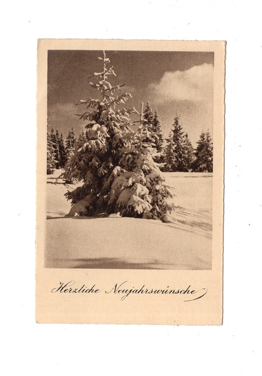 Ansichtskarte Feiertage / Frohes neues Jahr / L1-51