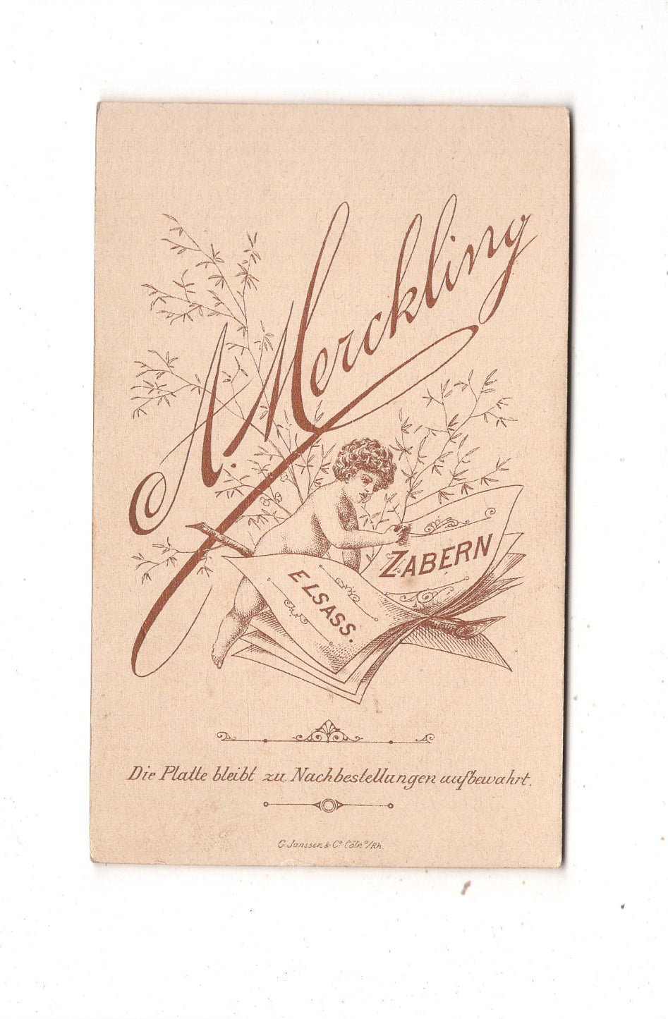 Fotografie Feines junges Mädchen - Zabern im Elsass 1880er / CDV N1-01