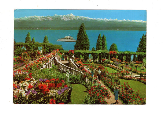 Ansichtskarte Insel Mainau im Bodensee / Rosengarten / K1-52