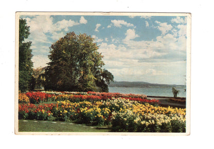 Ansichtskarte Insel Mainau im Bodensee / Ufergarten / K1-52