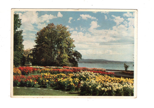 Ansichtskarte Insel Mainau im Bodensee / Ufergarten / K1-52