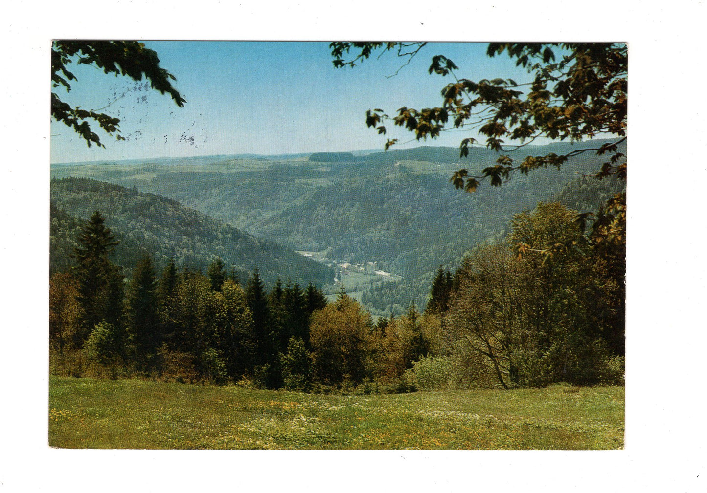 Ansichtskarte Höchenschwand im südlichen Hochschwarzwald / Albtalblick / G1-69