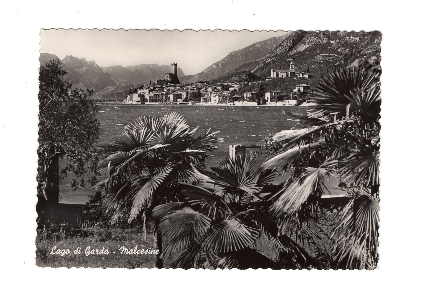 Ansichtskarte Lago di Garda / Malcesine / Italien / N1-58