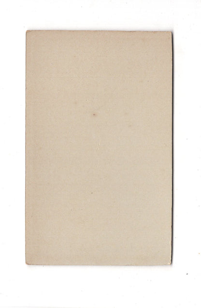 Fotografie Damenportrait - Wernigerode 1890er / CDV C1-16