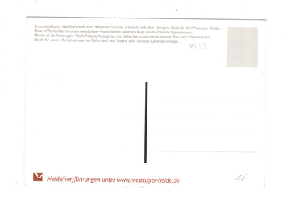 Ansichtskarte Haltern am See / Westruper Heide