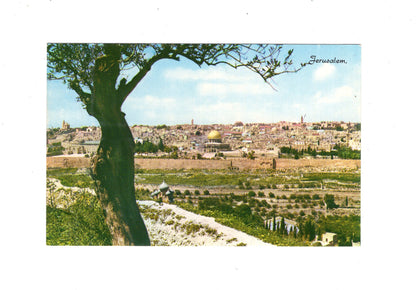 Ansichtskarte Jerusalem vom Ölberg gesehen / Israel