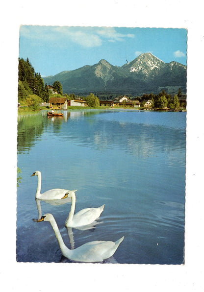 Ansichtskarte Faaker See / Kärnten / Österreich